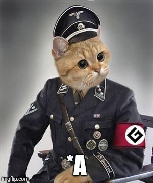Grammar Nazi Cat | *A | image tagged in grammar nazi cat | made w/ Imgflip meme maker