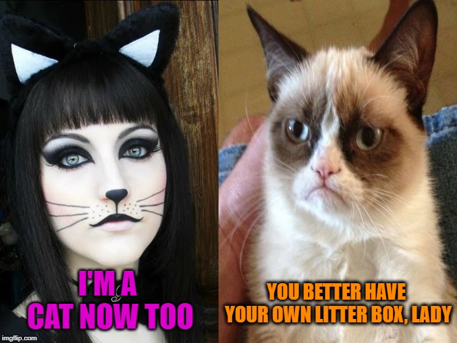 Cat-Girl | I'M A CAT NOW TOO; YOU BETTER HAVE YOUR OWN LITTER BOX, LADY | image tagged in funny memes,cats,cat,woman,cosplay | made w/ Imgflip meme maker