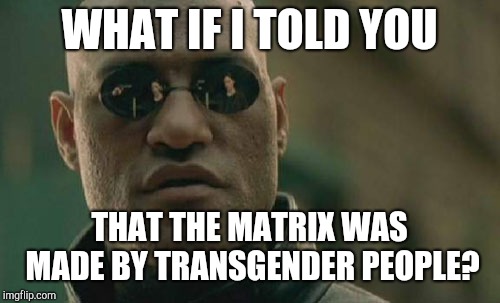 Just an interesting fact that I learned... | WHAT IF I TOLD YOU; THAT THE MATRIX WAS MADE BY TRANSGENDER PEOPLE? | image tagged in memes,matrix morpheus,transgender | made w/ Imgflip meme maker