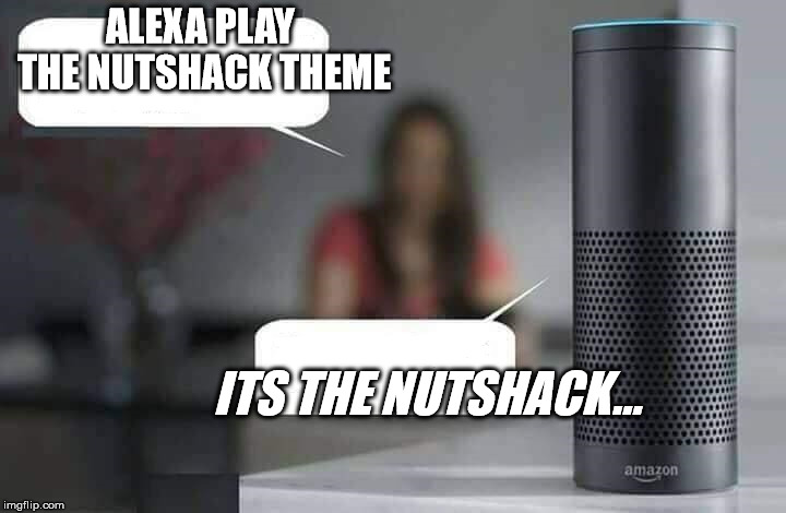 Alexa do X | ALEXA PLAY THE NUTSHACK THEME; ITS THE NUTSHACK... | image tagged in alexa do x,memes,nutshack | made w/ Imgflip meme maker