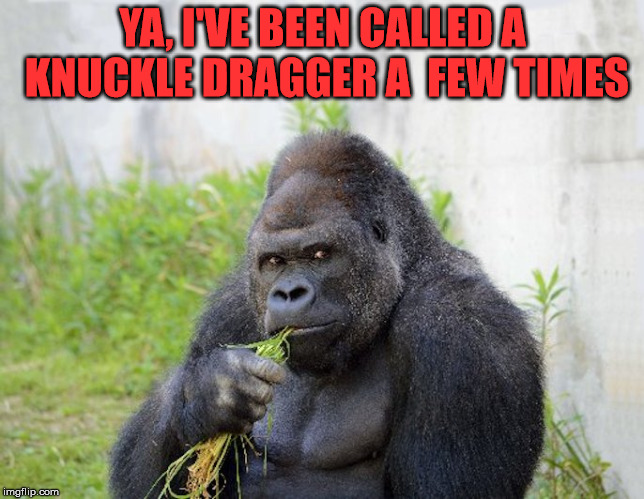 anyone else? | YA, I'VE BEEN CALLED A KNUCKLE DRAGGER A  FEW TIMES | image tagged in sexy monkey memes gorilla | made w/ Imgflip meme maker