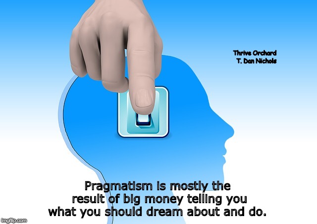 Pragmatism | Thrive Orchard
 T. Dan Nichols; Pragmatism is mostly the result of big money telling you what you should dream about and do. | image tagged in motivation,motivational,inspirational quote,inspirational | made w/ Imgflip meme maker
