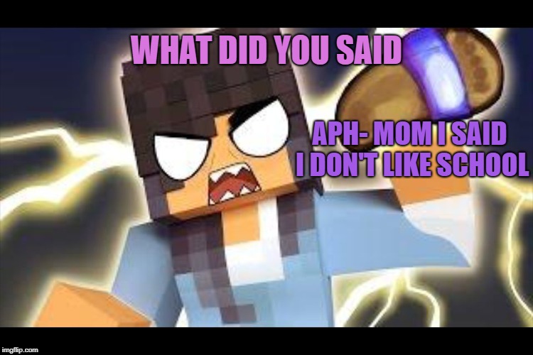 Aphmau memes | WHAT DID YOU SAID; APH- MOM I SAID I DON'T LIKE SCHOOL | image tagged in aphmau memes | made w/ Imgflip meme maker