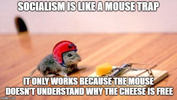 Mouse Trap | SOCIALISM IS LIKE A MOUSE TRAP; IT ONLY WORKS BECAUSE THE MOUSE DOESN'T UNDERSTAND WHY THE CHEESE IS FREE | image tagged in memes,mouse trap,socialism | made w/ Imgflip meme maker