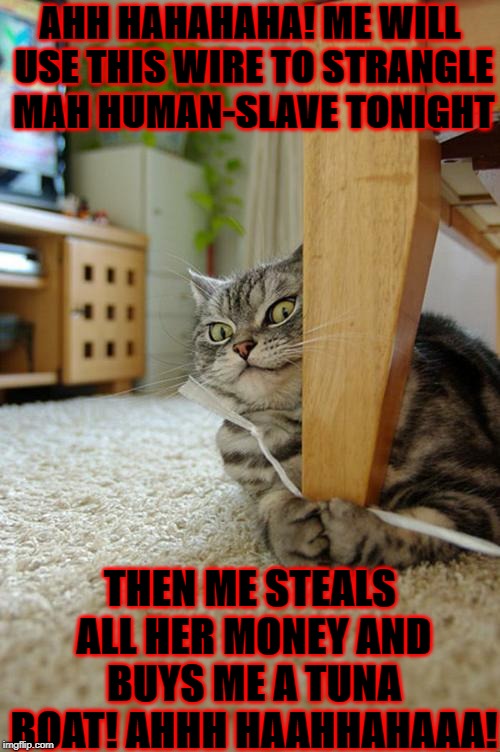 AHH HAHAHAHA! ME WILL USE THIS WIRE TO STRANGLE MAH HUMAN-SLAVE TONIGHT; THEN ME STEALS ALL HER MONEY AND BUYS ME A TUNA BOAT! AHHH HAAHHAHAAA! | image tagged in human slave killer | made w/ Imgflip meme maker
