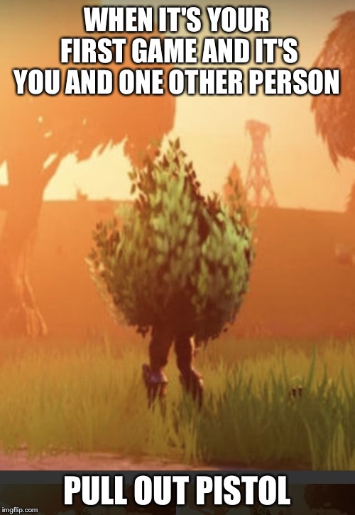 Fortnite bush | WHEN IT'S YOUR FIRST GAME AND IT'S YOU AND ONE OTHER PERSON; PULL OUT PISTOL | image tagged in fortnite bush | made w/ Imgflip meme maker