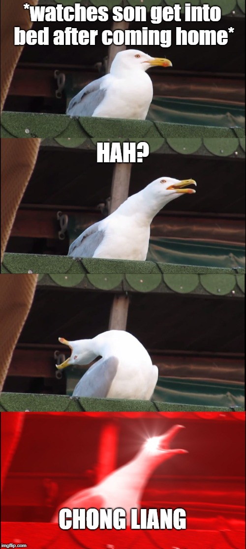 Inhaling Seagull Meme | *watches son get into bed after coming home*; HAH? CHONG LIANG | image tagged in memes,inhaling seagull | made w/ Imgflip meme maker