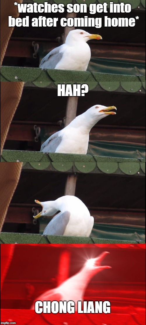 Inhaling Seagull | *watches son get into bed after coming home*; HAH? CHONG LIANG | image tagged in memes,inhaling seagull | made w/ Imgflip meme maker