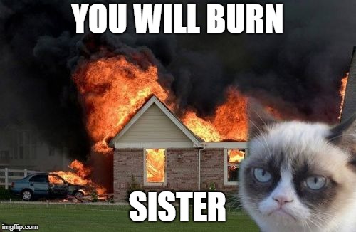 Burn Kitty Meme | YOU WILL BURN SISTER | image tagged in memes,burn kitty,grumpy cat | made w/ Imgflip meme maker