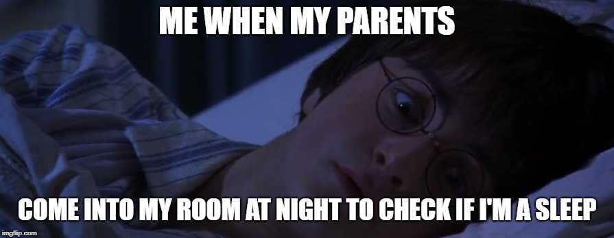 Naughty Night | ME WHEN MY PARENTS; COME INTO MY ROOM AT NIGHT TO CHECK IF I'M A SLEEP | image tagged in harrypotter,cant sleep | made w/ Imgflip meme maker