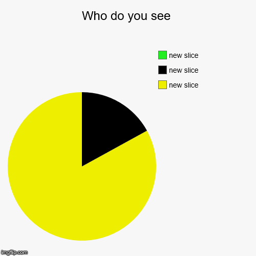 Who do you see | | image tagged in funny,pie charts | made w/ Imgflip chart maker