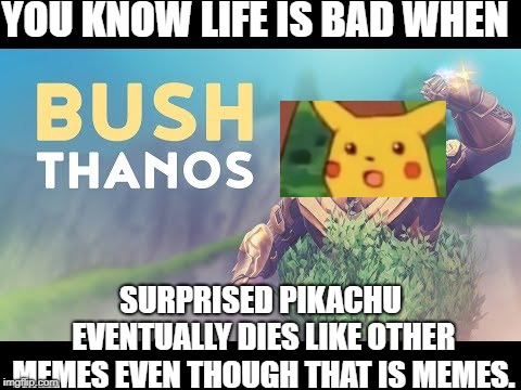 You know life is bad when ___ is worse than Bush Thanos | YOU KNOW LIFE IS BAD WHEN; SURPRISED PIKACHU EVENTUALLY DIES LIKE OTHER MEMES EVEN THOUGH THAT IS MEMES. | image tagged in you know life is bad when ___ is worse than bush thanos | made w/ Imgflip meme maker