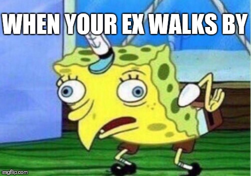 Mocking Spongebob Meme | WHEN YOUR EX WALKS BY | image tagged in memes,mocking spongebob | made w/ Imgflip meme maker