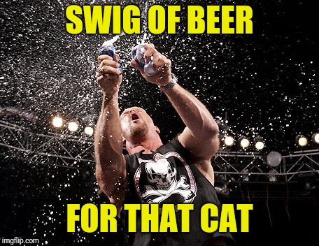 Stone Cold Steve Austin | SWIG OF BEER FOR THAT CAT | image tagged in stone cold steve austin | made w/ Imgflip meme maker