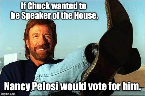 Speaker Norris? It’s unanimous! |  If Chuck wanted to be Speaker of the House, Nancy Pelosi would vote for him. | image tagged in chuck norris says,speaker of the house,pelosi,all agree,political meme,funny memes | made w/ Imgflip meme maker