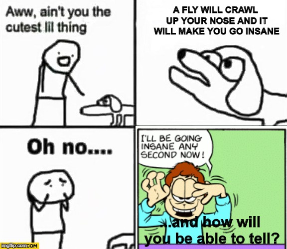 Oh no! It's making me go insane! | A FLY WILL CRAWL UP YOUR NOSE AND IT WILL MAKE YOU GO INSANE; ...and how will you be able to tell? | image tagged in insane jon,oh no it's retarded,jon arbuckle | made w/ Imgflip meme maker