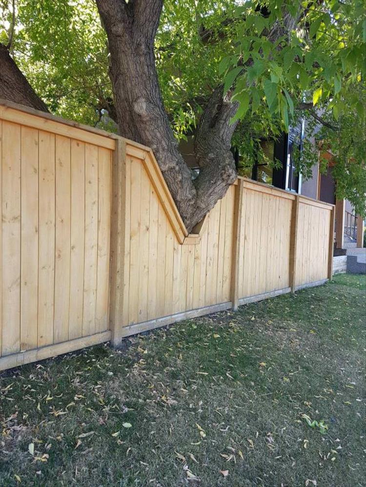 fence Blank Meme Template