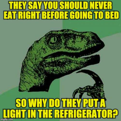 Philosoraptor Meme | THEY SAY YOU SHOULD NEVER EAT RIGHT BEFORE GOING TO BED; SO WHY DO THEY PUT A LIGHT IN THE REFRIGERATOR? | image tagged in memes,philosoraptor | made w/ Imgflip meme maker