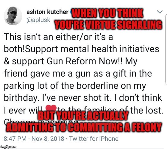 Getting a gun without a background check and waiting period, processed by an FFL is a felony! | WHEN YOU THINK YOU'RE VIRTUE SIGNALING; BUT YOU'RE ACTUALLY ADMITTING TO COMMITTING A FELONY | image tagged in gun,rights,virtue signalling,dumb celebrity,ashton kutcher | made w/ Imgflip meme maker