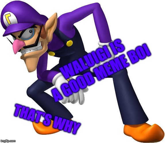 TOO BAD! WALUIGI TIME! | WALUIGI IS A GOOD MEME BOI THAT'S WHY | image tagged in too bad waluigi time | made w/ Imgflip meme maker
