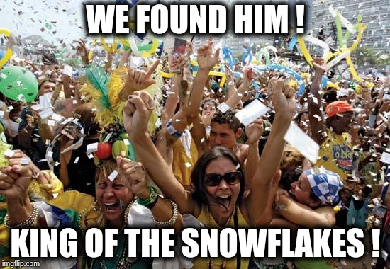celebrate | WE FOUND HIM ! KING OF THE SNOWFLAKES ! | image tagged in celebrate | made w/ Imgflip meme maker