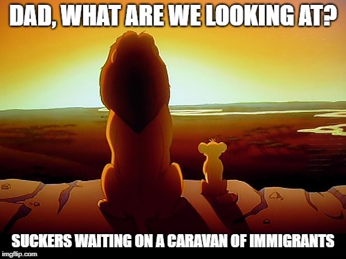 Lion King Meme | DAD, WHAT ARE WE LOOKING AT? SUCKERS WAITING ON A CARAVAN OF IMMIGRANTS | image tagged in memes,lion king | made w/ Imgflip meme maker