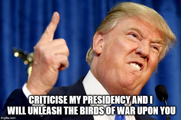 Donald Trump | CRITICISE MY PRESIDENCY AND I WILL UNLEASH THE BIRDS OF WAR UPON YOU | image tagged in donald trump | made w/ Imgflip meme maker