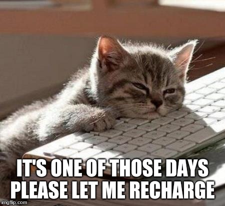 tired cat | IT'S ONE OF THOSE DAYS PLEASE LET ME RECHARGE | image tagged in tired cat | made w/ Imgflip meme maker
