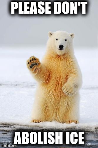 hello polar bear | PLEASE DON'T ABOLISH ICE | image tagged in hello polar bear | made w/ Imgflip meme maker