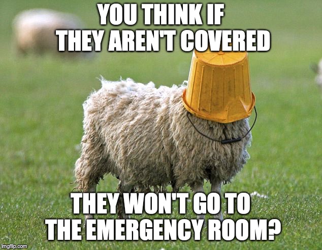stupid sheep | YOU THINK IF THEY AREN'T COVERED; THEY WON'T GO TO THE EMERGENCY ROOM? | image tagged in stupid sheep | made w/ Imgflip meme maker