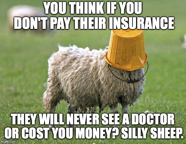 stupid sheep | YOU THINK IF YOU DON'T PAY THEIR INSURANCE; THEY WILL NEVER SEE A DOCTOR OR COST YOU MONEY? SILLY SHEEP. | image tagged in stupid sheep | made w/ Imgflip meme maker