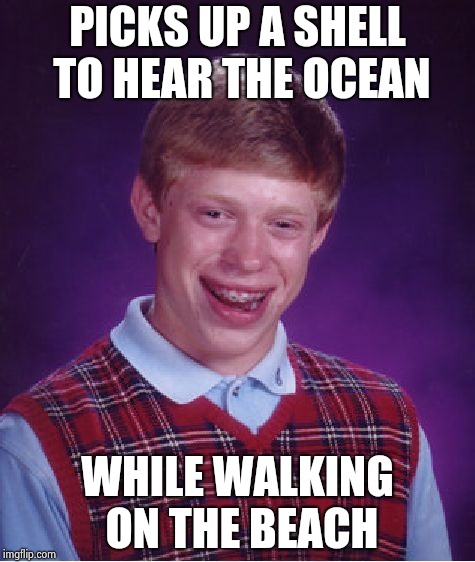 Bad Luck Brian Meme | PICKS UP A SHELL TO HEAR THE OCEAN WHILE WALKING ON THE BEACH | image tagged in memes,bad luck brian | made w/ Imgflip meme maker