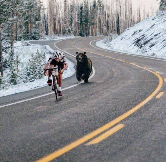 Bear Chasing A Cyclist Blank Meme Template