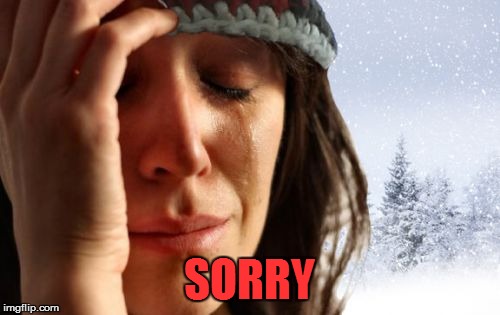 1st World Canadian Problems Meme | SORRY | image tagged in memes,1st world canadian problems | made w/ Imgflip meme maker