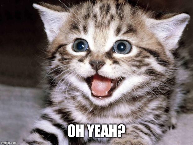 Uber Cute Cat | OH YEAH? | image tagged in uber cute cat | made w/ Imgflip meme maker