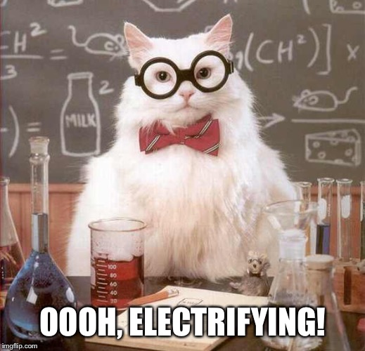 cat scientist | OOOH, ELECTRIFYING! | image tagged in cat scientist | made w/ Imgflip meme maker