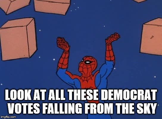 look | LOOK AT ALL THESE DEMOCRAT VOTES FALLING FROM THE SKY | image tagged in bullshit | made w/ Imgflip meme maker