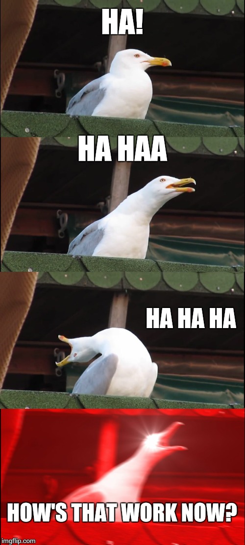 Inhaling Seagull Meme | HA! HA HAA HA HA HA HOW'S THAT WORK NOW? | image tagged in memes,inhaling seagull | made w/ Imgflip meme maker