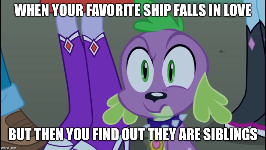 Mlp equestria girls spike da fuk | WHEN YOUR FAVORITE SHIP FALLS IN LOVE; BUT THEN YOU FIND OUT THEY ARE SIBLINGS | image tagged in mlp equestria girls spike da fuk | made w/ Imgflip meme maker