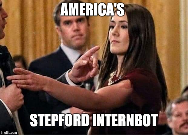 Politics | AMERICA'S; STEPFORD INTERNBOT | image tagged in white house | made w/ Imgflip meme maker