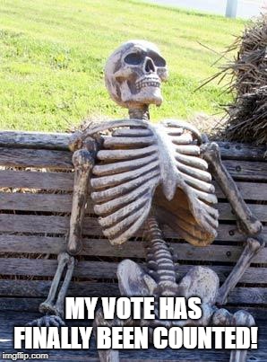 Waiting Skeleton Meme | MY VOTE HAS FINALLY BEEN COUNTED! | image tagged in memes,waiting skeleton | made w/ Imgflip meme maker