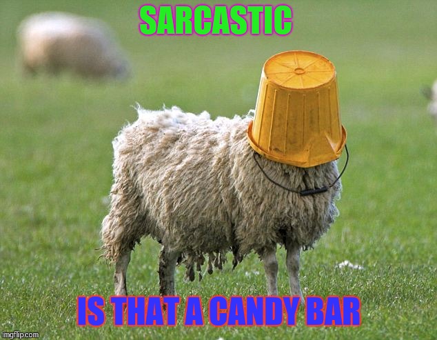 stupid sheep | SARCASTIC IS THAT A CANDY BAR | image tagged in stupid sheep | made w/ Imgflip meme maker
