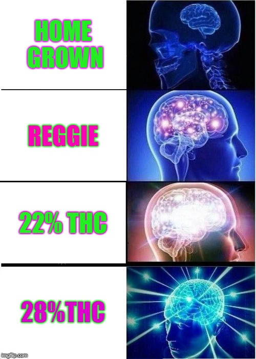 Expanding Brain | HOME GROWN; REGGIE; 22% THC; 28%THC | image tagged in memes,expanding brain | made w/ Imgflip meme maker
