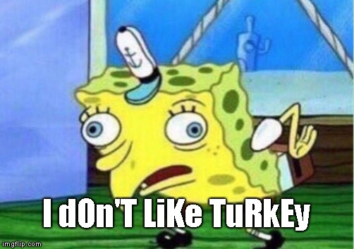 When you could be eating turkey all month long but your man is like... | I dOn'T LiKe TuRkEy | image tagged in memes,mocking spongebob,lame,loser,letmehaveturkey | made w/ Imgflip meme maker
