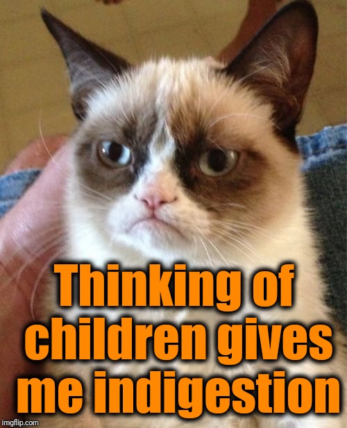 Grumpy Cat Meme | Thinking of children gives me indigestion | image tagged in memes,grumpy cat | made w/ Imgflip meme maker