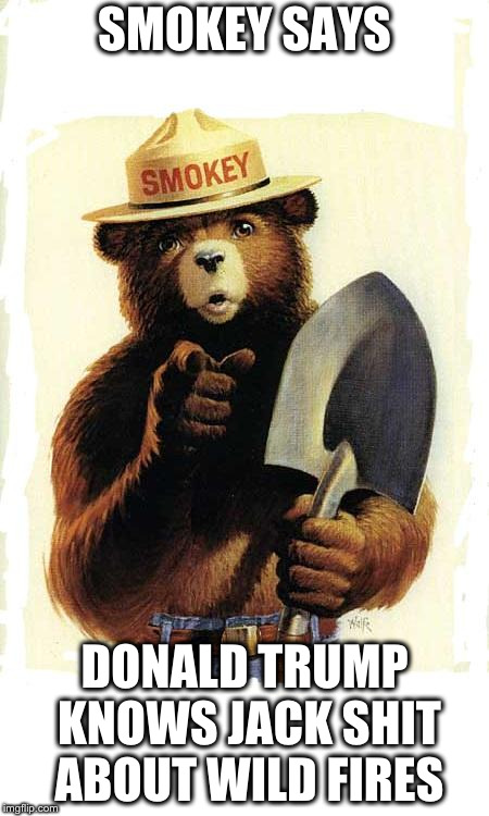 Smokey The Bear | SMOKEY SAYS; DONALD TRUMP KNOWS JACK SHIT ABOUT WILD FIRES | image tagged in smokey the bear | made w/ Imgflip meme maker