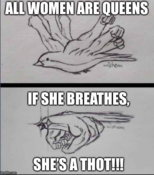 ALL WOMEN ARE QUEENS; IF SHE BREATHES, SHE’S A THOT!!! | image tagged in thot,pewdiepie,lol,weird flex but ok | made w/ Imgflip meme maker