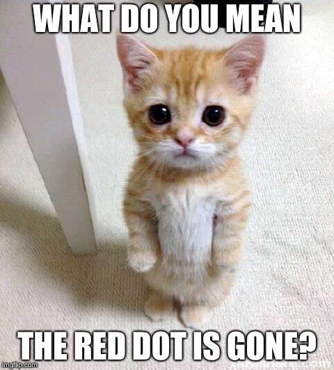 Rip red laser | WHAT DO YOU MEAN; THE RED DOT IS GONE? | image tagged in memes,cute cat | made w/ Imgflip meme maker