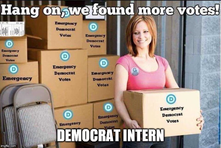 Florida Democrats | DEMOCRAT INTERN | image tagged in florida democrats | made w/ Imgflip meme maker