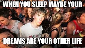 Suddenly realized | WHEN YOU SLEEP MAYBE YOUR DREAMS ARE YOUR OTHER LIFE | image tagged in suddenly realized | made w/ Imgflip meme maker